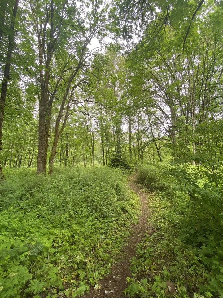 Riverside Manor - Photo 2 of 50