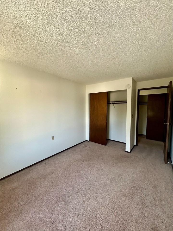 PINETREE - Photo 2 of 11