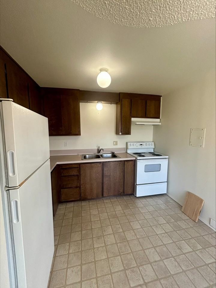 PINETREE - Photo 3 of 11