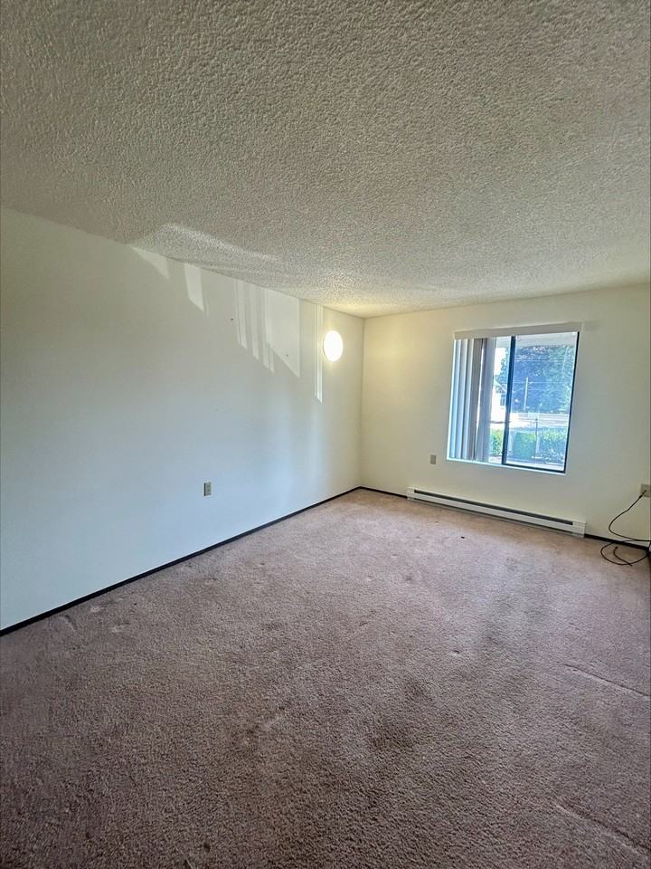 PINETREE - Photo 5 of 11