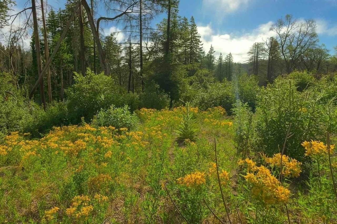 Address not disclosed - Photo 5 of 6