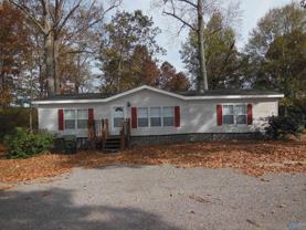 411 Paint Rock Road - Photo 1 of 1