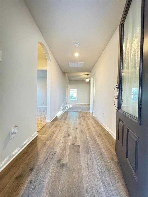 6463 Texas Bluebell Drive