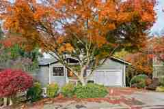 12135 107th Avenue Northeast - Photo 1 of 1