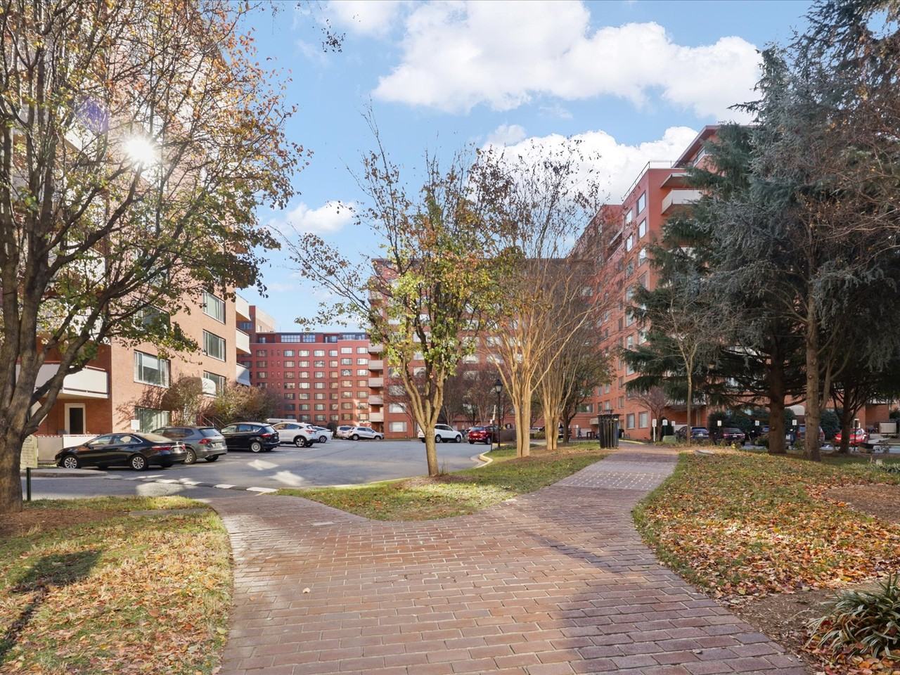 1011 Arlington Boulevard #444 - Photo 6 of 31