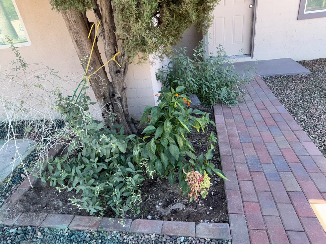 536 East Seneca Street - Photo 5 of 36