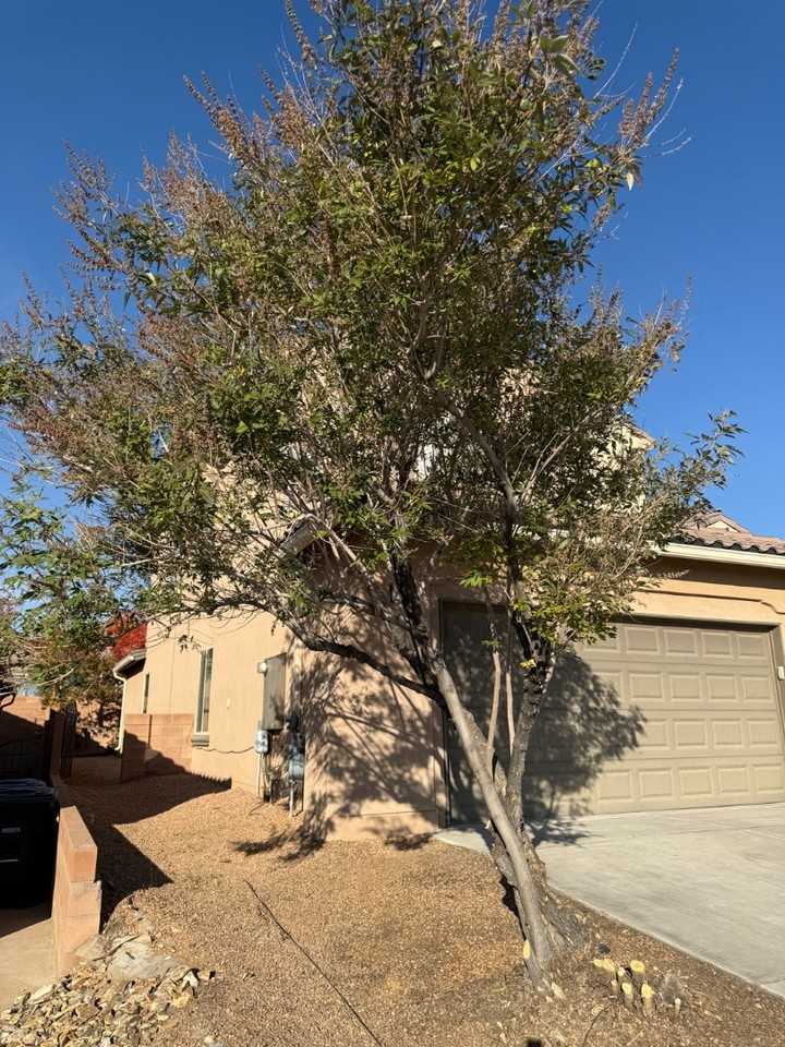 12023 Pocono Rd Se - Photo 4 of 20