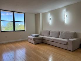 701 South Madison Avenue #419 - Photo 1 of 1