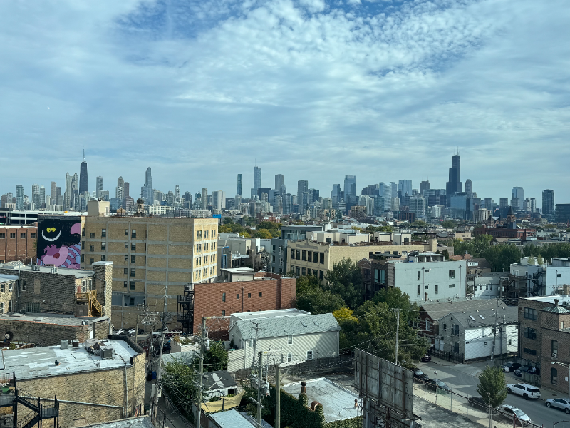 1601 W Division St - Photo 4 of 16