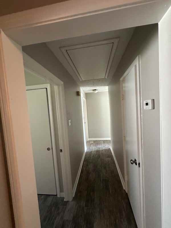 3214 White Sail - Photo 7 of 16