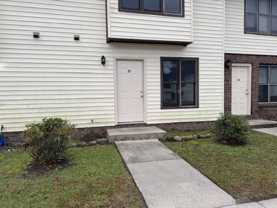 Palomino - Photo 1 of 1