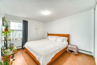 1338 Hollis Street #110 - Photo 1 of 1