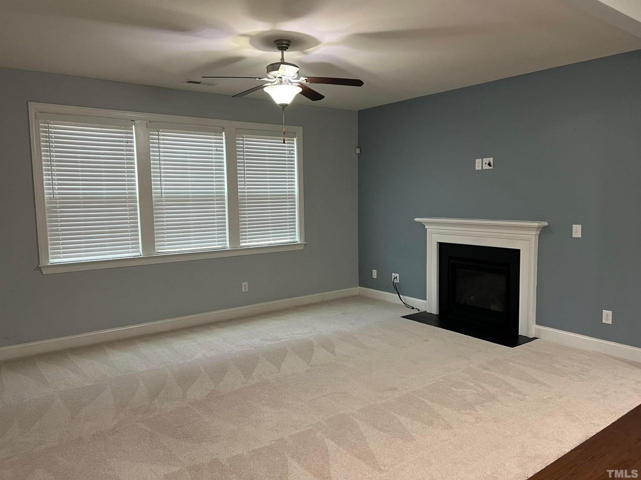 121 Red Bark Court - Photo 4 of 24