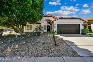 4627 East White Aster Street - Photo 1 of 1