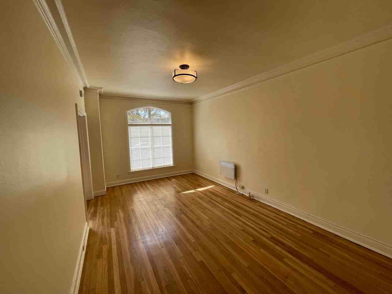 Bishop - Photo 3 of 9