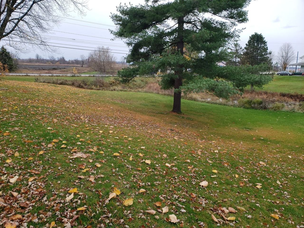 983 Us Highway 11 - Photo 5 of 50