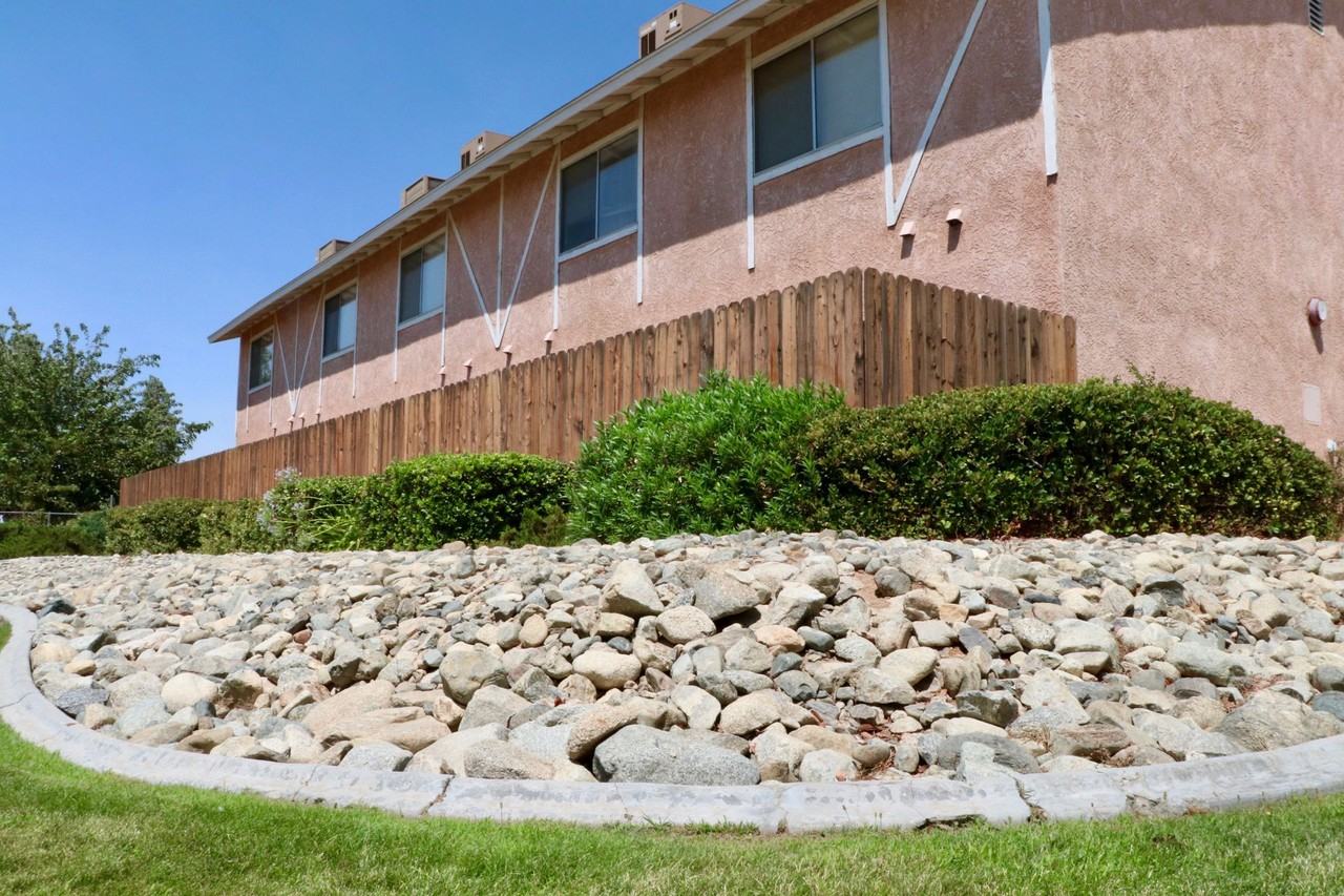 Desert Rose - Photo 3 of 20