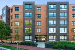 The Lotus - Photo 1 of 1