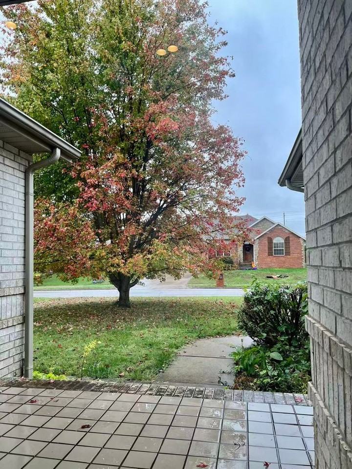 4665 West Blackfoot Street - Photo 7 of 50