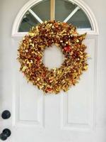 featured image of 537 Morgan St #537