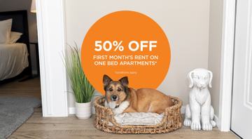 featured image of 6472 Paddle Rd