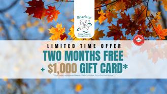 53 McMurchy Avenue North - Photo 1 of 1