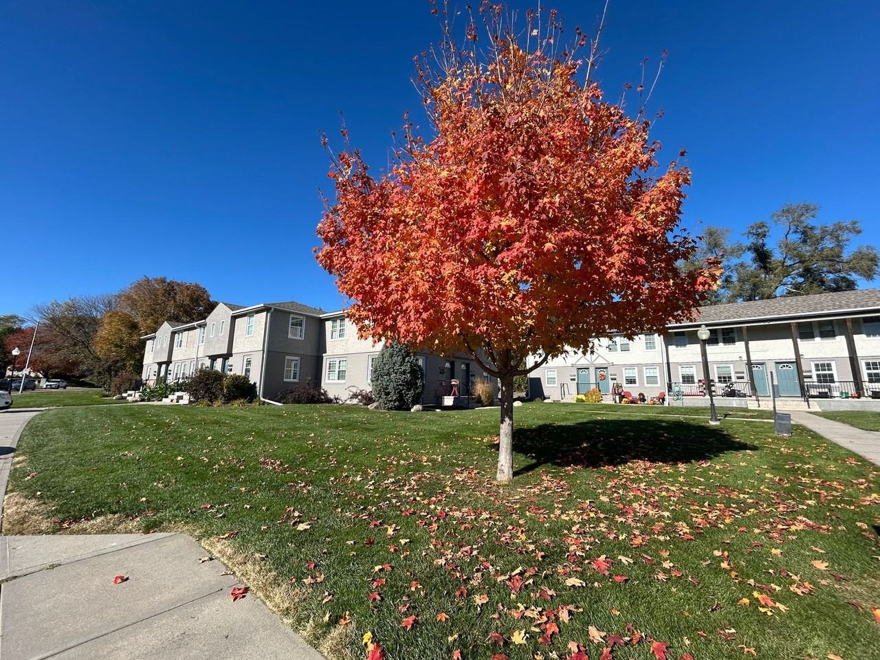 The Village - Photo 2 of 50