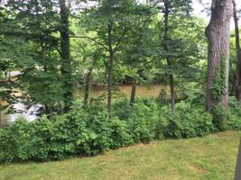 featured image of 815 Lyndhurst Rd