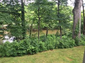 Kenmore Park Apartments - Photo 1 of 1