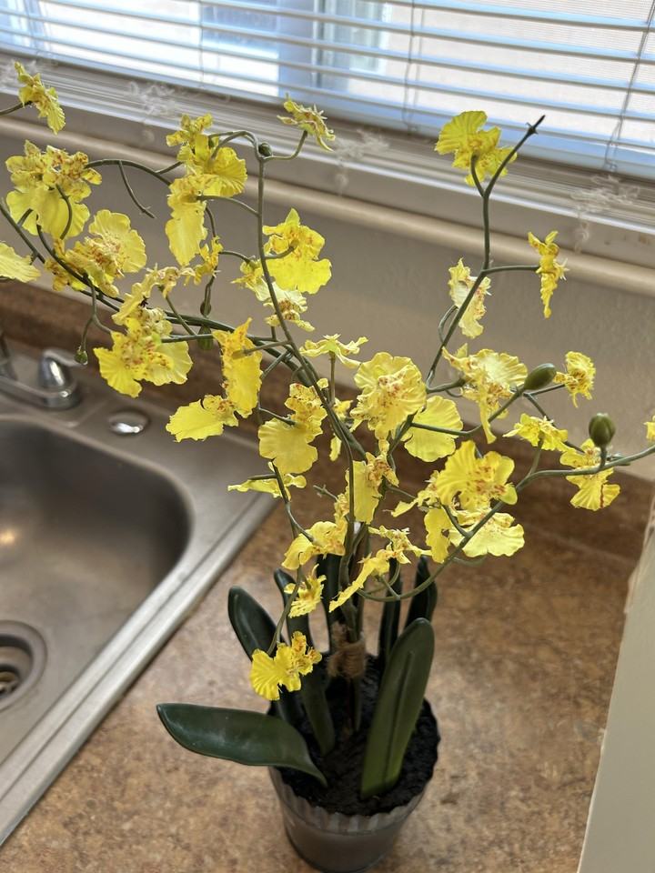 110 Pine St #1 - Photo 6 of 12