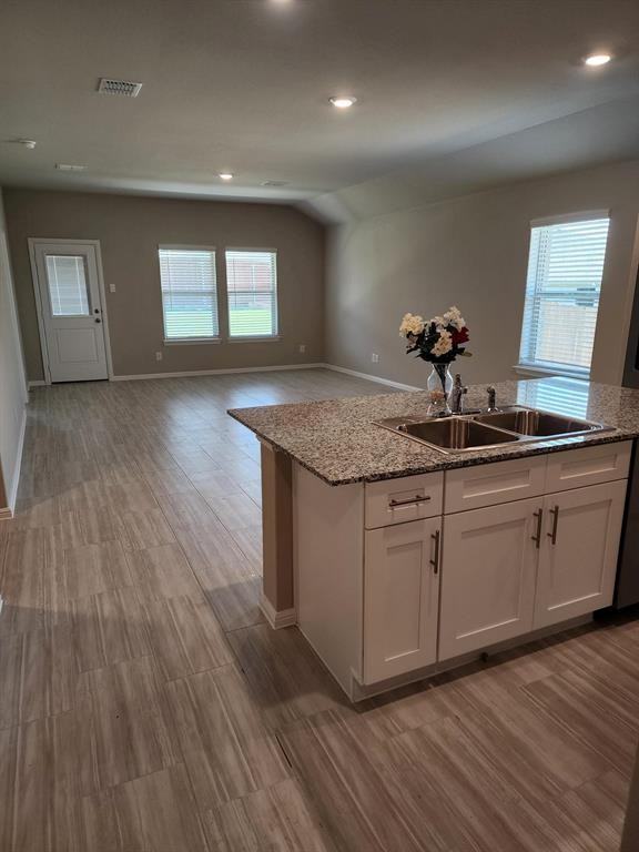 1204 Terra Blanca Drive - Photo 4 of 33