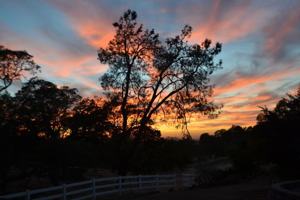 featured image of 1830 Dove Tail Ln