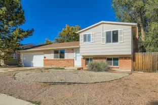 529 Corte Amino - Photo 1 of 1