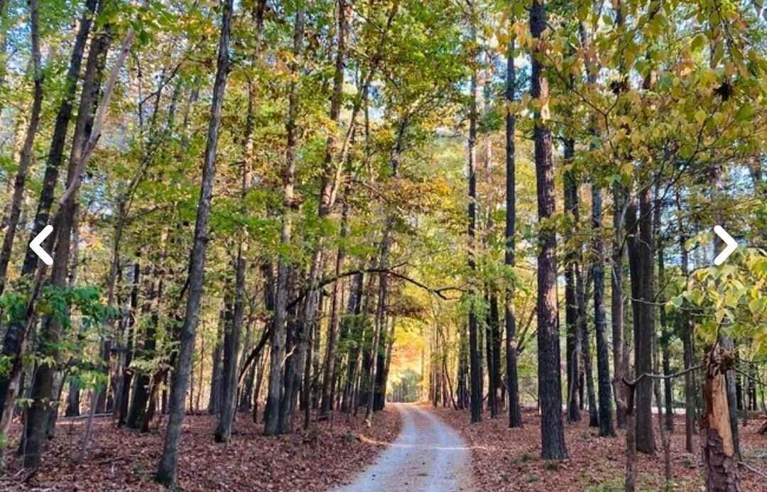 2212 Old Kearney Rd - Photo 3 of 22