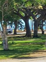 featured image of 134 Kapahulu Ave #405