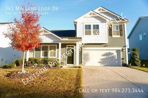 featured image of 341 Mallard Loop Dr