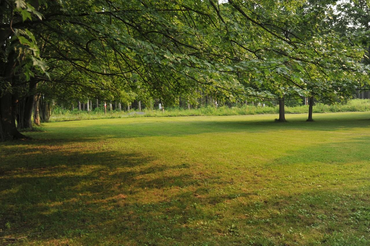 8071 River Rd #NA - Photo 6 of 29