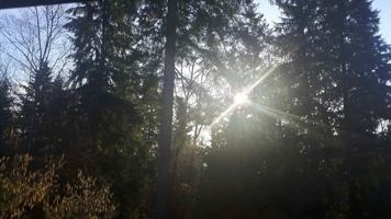 featured image of 2947 Meadowvista Pl