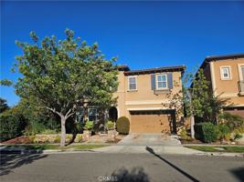 featured image of 11 Peony