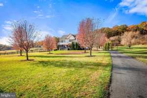 featured image of 1422D Heaps Rd