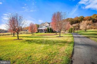 1422D Heaps Rd - Photo 1 of 1