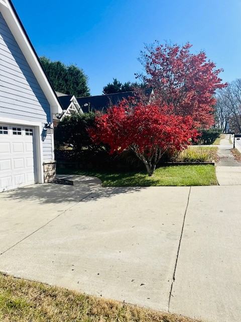 50 Grove End Rd #NA - Photo 6 of 50