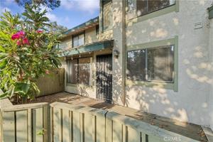 featured image of 3555 Bottlebrush