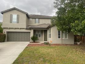 375 Deodar St - Photo 1 of 1