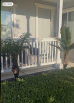 8418 Lourenco Ln #D - Photo 1 of 1