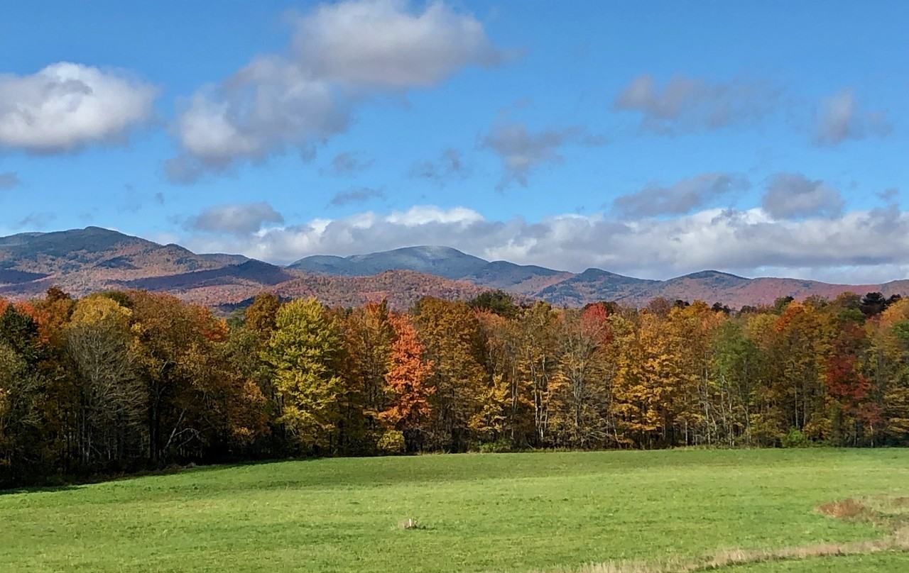 549 Loomis Hill Rd - Photo 2 of 15