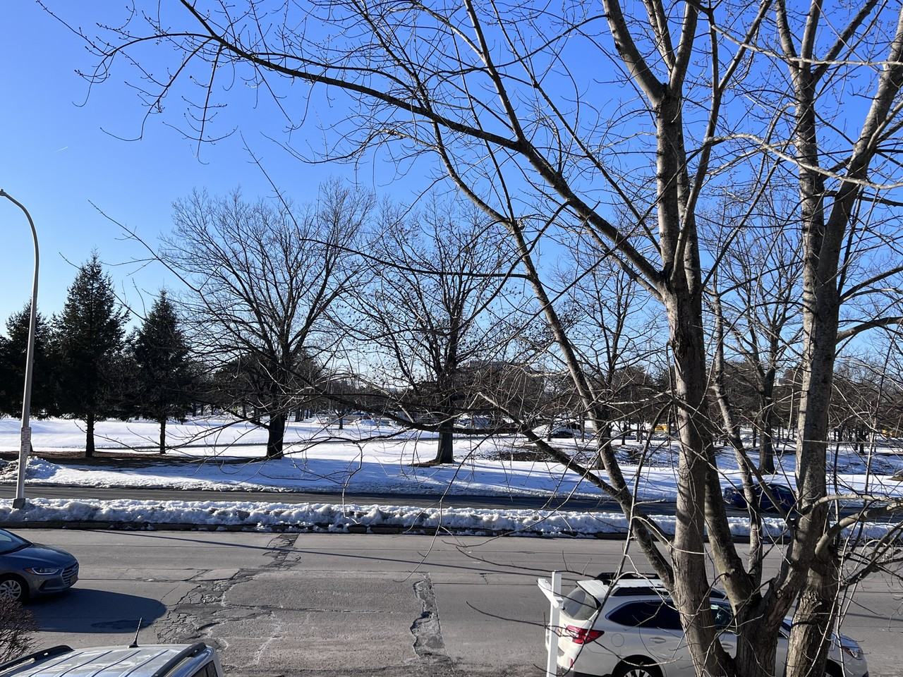 69 Brevator Street #2 - Photo 3 of 14