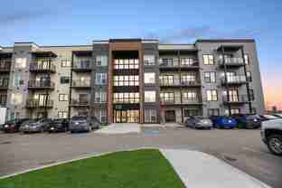 Luna at Aurora - Photo 1 of 1