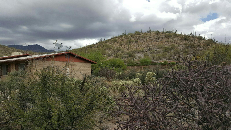 5180 N Kolb Rd - Photo 3 of 20