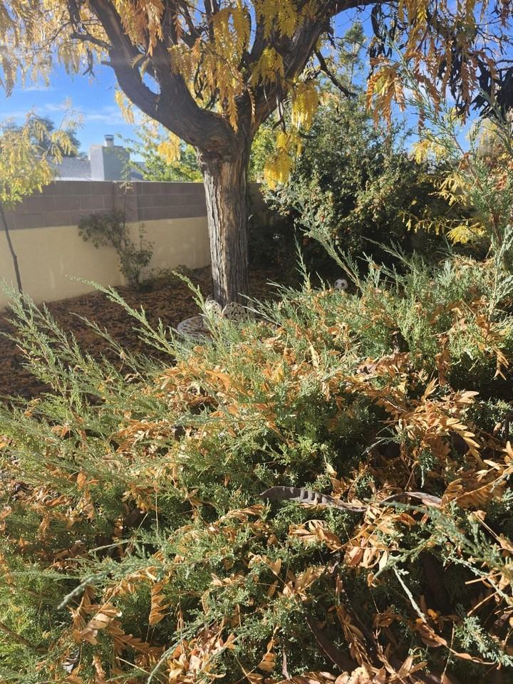 8805 Yankee Dr Ne - Photo 2 of 12